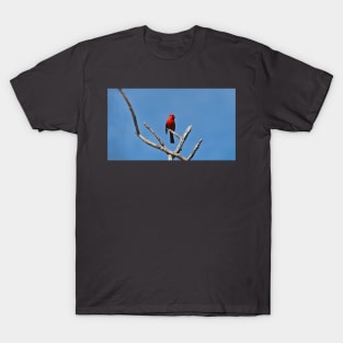 Male Northern Cardinal Perched In A Tree T-Shirt